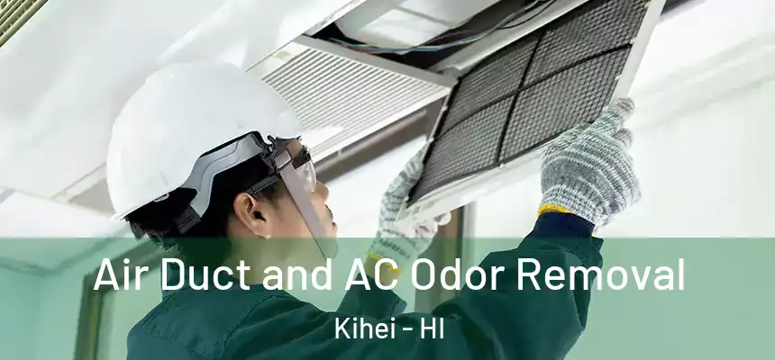  Air Duct and AC Odor Removal Kihei - HI