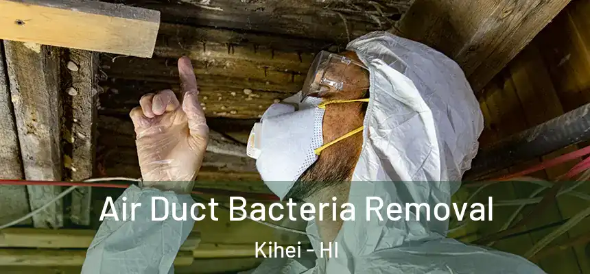  Air Duct Bacteria Removal Kihei - HI