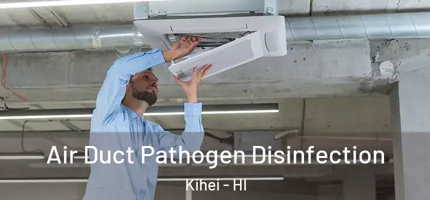 Air Duct Pathogen Disinfection Kihei - HI