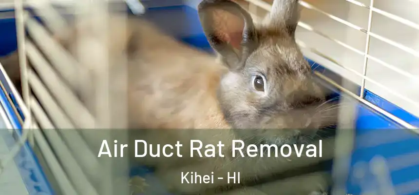 Air Duct Rat Removal Kihei - HI