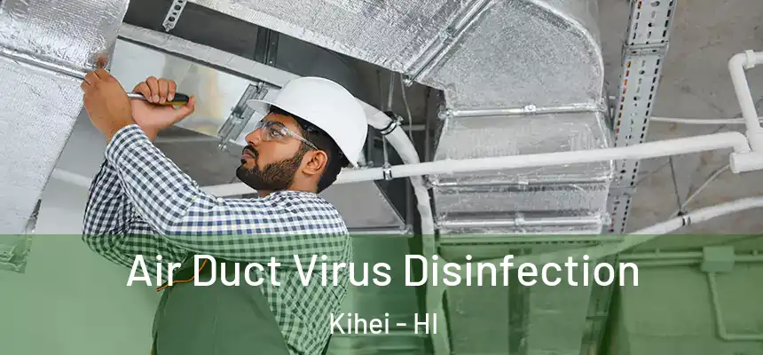  Air Duct Virus Disinfection Kihei - HI