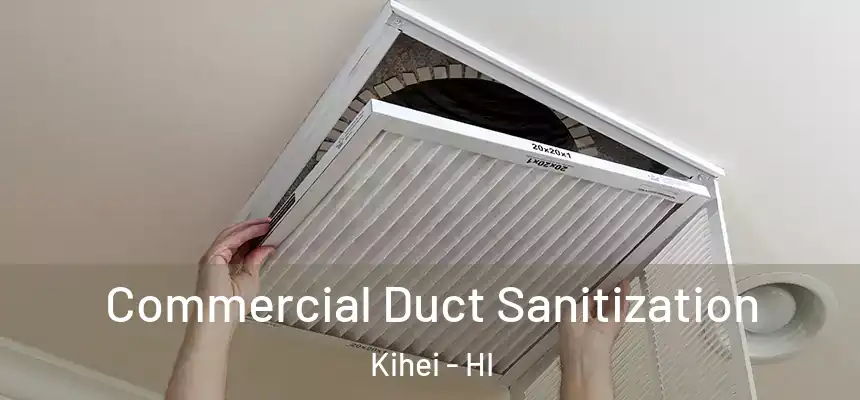  Commercial Duct Sanitization Kihei - HI