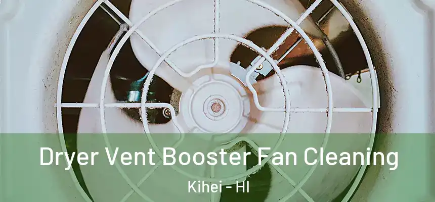  Dryer Vent Booster Fan Cleaning Kihei - HI