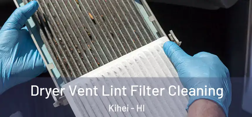  Dryer Vent Lint Filter Cleaning Kihei - HI