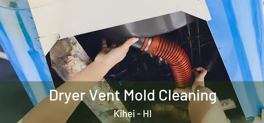 Dryer Vent Mold Cleaning Kihei - HI