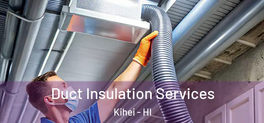  Duct Insulation Services Kihei - HI