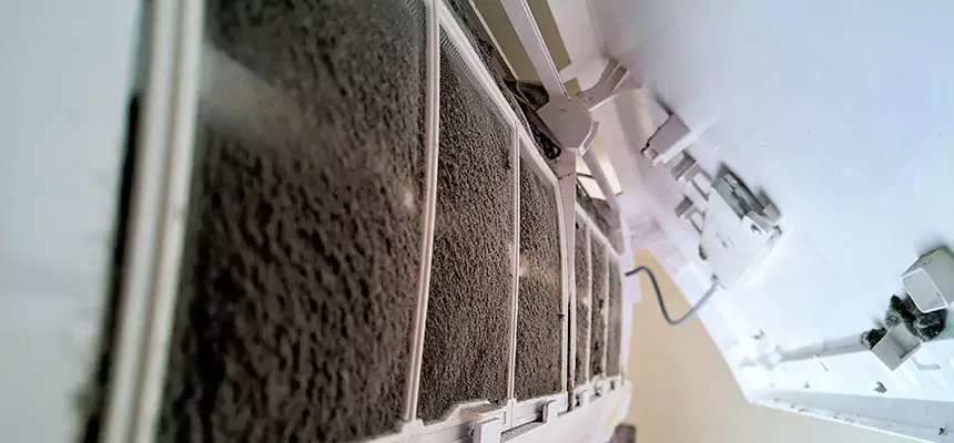 Preventive Air Duct Bacteria Removal in Kihei