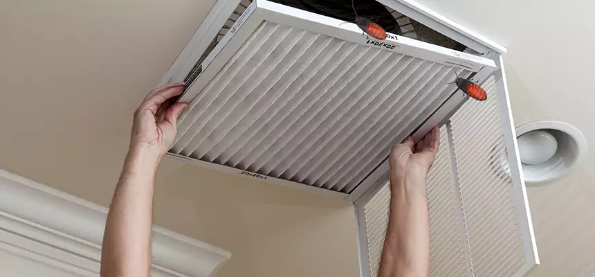 Preventive Cockroach-Proofing for Ducts in Kihei
