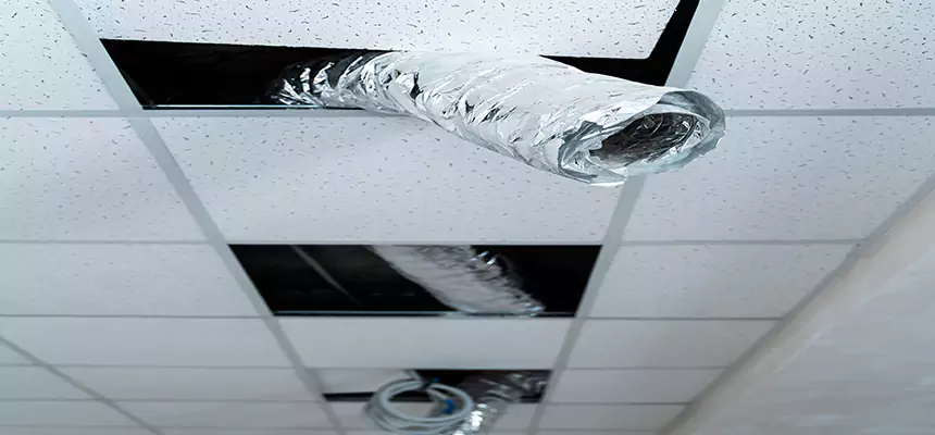 Our Air Duct Pet Hair Removal Services in Kihei, HI