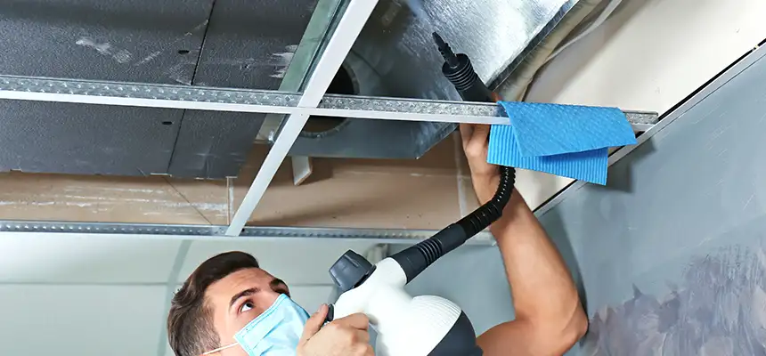 Our Air Duct Rodent Removal Services in Kihei, HI