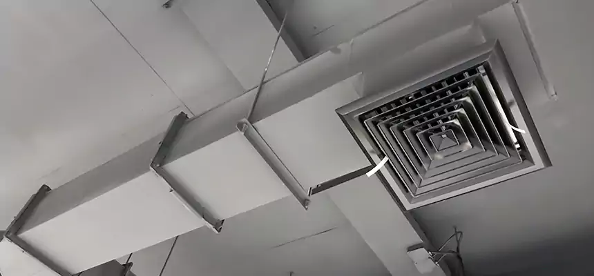 Our Rodent Droppings In Vents Services in Kihei, HI