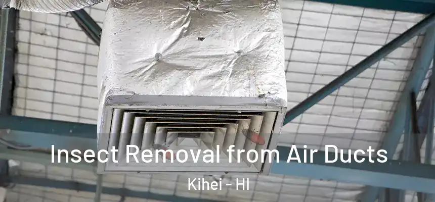 Insect Removal from Air Ducts Kihei - HI