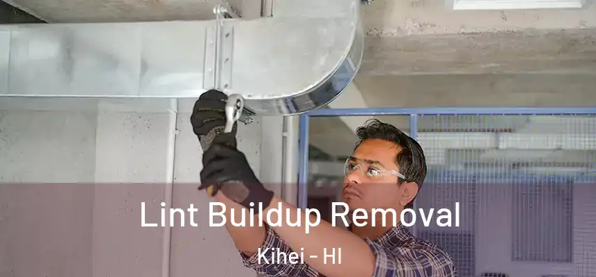  Lint Buildup Removal Kihei - HI