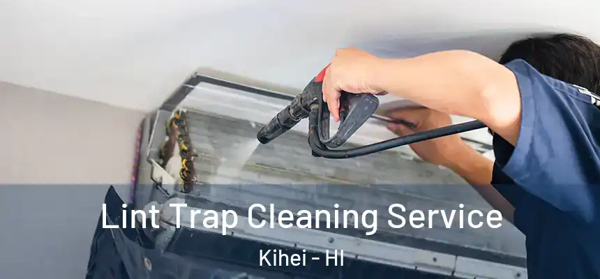  Lint Trap Cleaning Service Kihei - HI