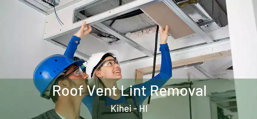  Roof Vent Lint Removal Kihei - HI