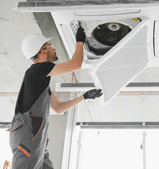 About Air Duct Rodent Removal in Kihei, HI