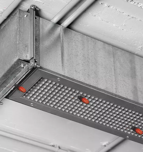 Affordable Insect Removal from Air Ducts in Kihei, HI