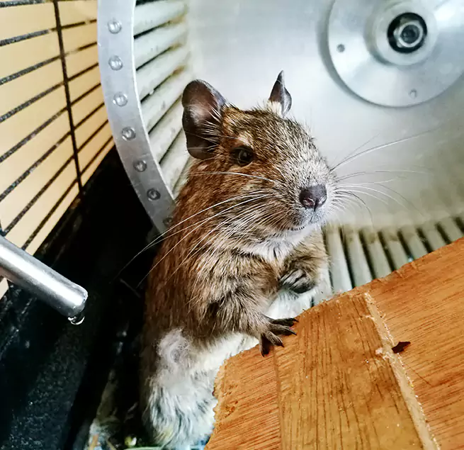 Why Homeowners & Businesses Trust Us Kihei, HI