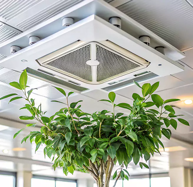 Why Homeowners & Businesses Trust Us in Kihei, HI