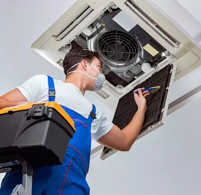 Why Homeowners & Businesses Trust Us in Kihei, HI?