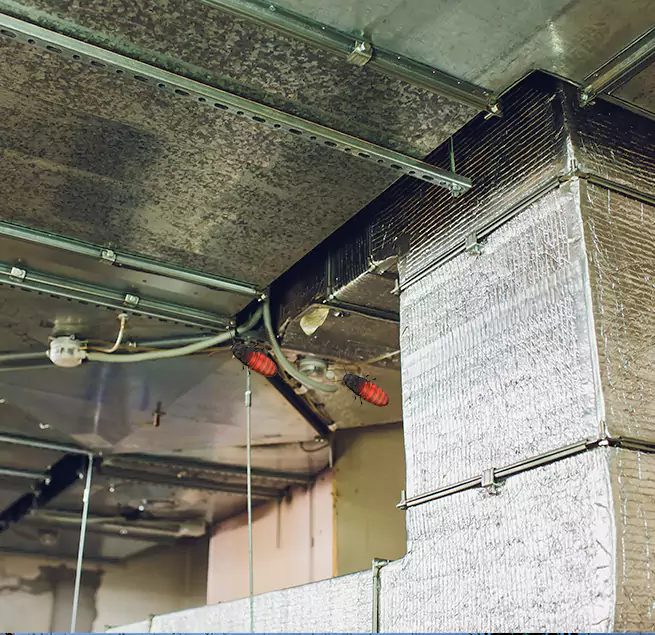 Why Homeowners & Businesses Trust Us Kihei, HI?