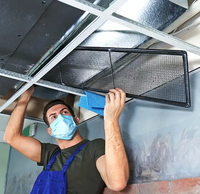 Why Homeowners & Businesses Trust Us in Kihei, HI?