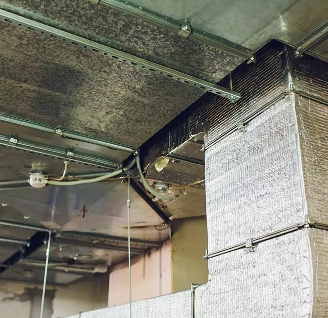 Why Homeowners & Businesses Trust Us in Kihei, HI?